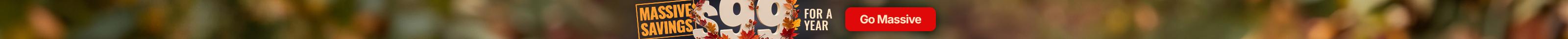 banner_733